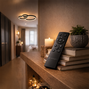 LED csillár távirányítóval RINOVA 66W, 2 kör, hideg/meleg/semleges fény, szabályozható, fekete LED csillárok távirányítóval Alapértelmezett cím Alessandro Design