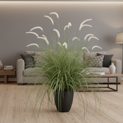 Planta Artificială Iarbă Ornamentală Tip Coadă de Vulpe, 120cm, Iarbă curbată și Spice, Verde si Alba, Fara Ghiveci