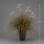 Planta Artificială Iarbă Ornamentală Tip Coadă de Vulpe, 120cm, Iarbă curbată și Spice, Verde si Roz, Fara Ghiveci