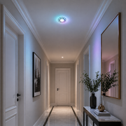 Spot LED ORBITA, 5W, Rotund, Lumina Rece / Calda, Bronz Antichizat, Rasina si Sticla Spot LED Default Title Alessandro Design