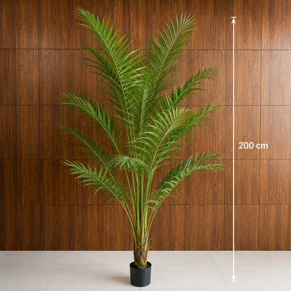 Planta Artificială Copac Tip Palmier Kentia, Cu Frunze Elegante, 200 cm, 15 frunze, Verde, cu Ghiveci