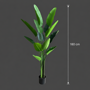Plantă Artificială Tip Strelitzia Nicolai(Pasărea Paradisului), 180 cm, 13 frunze, Verde