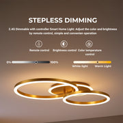 LED csillár távirányítóval RINOVA 66W, 2 kör, hideg/meleg/semleges fény, szabályozható, fényes arany LED csillárok távirányítóval Alapértelmezett cím Alessandro Design