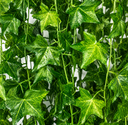 Planta Artificială Ghirlandă din Iederă, 12 Ramuri x 72 Frunze, Verde
