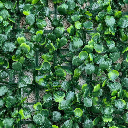 Planta Artificială Panou de Gard Viu cu Frunze Rotunde, 40 x 60 cm, Verde