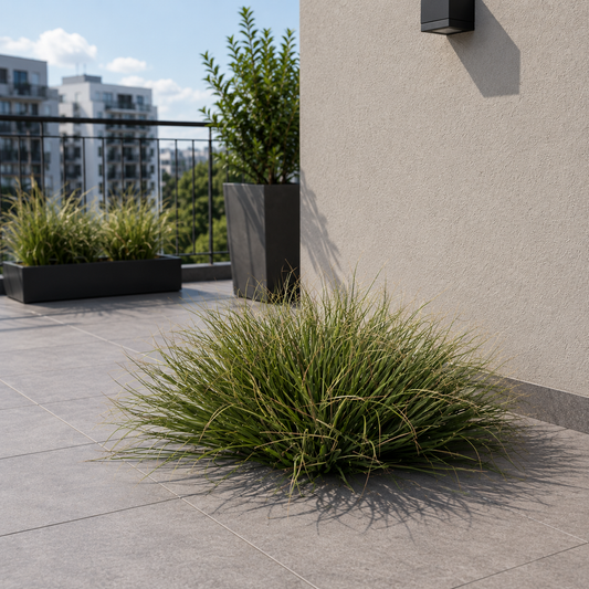 Planta Artificială Tufă de Iarbă Tip Ceapă Curbată, 38 cm, Densitate Medie, Verde Închis, Fara Ghiveci