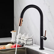 Konyhai csaptelep, egészségügyi sárgaréz, fekete, CF1035/B Konyhai csaptelepek Alapértelmezett cím Alessandro Design