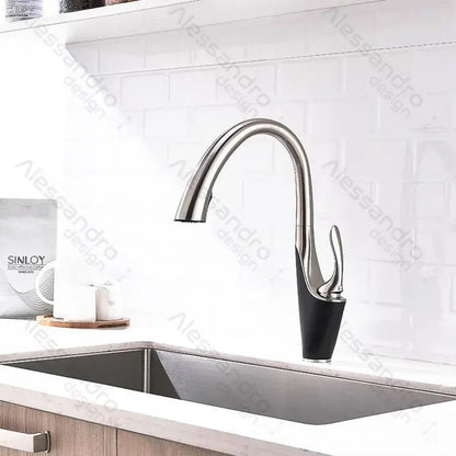 Konyhai csaptelep kihúzható zuhanyzóval, egészségügyi sárgaréz, króm, W058 Konyhai csaptelepek Alapértelmezett cím Alessandro Design