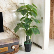 Mesterséges növény Alocasia odora, edény nélkül, 150 cm zöld mesterséges beltéri növények Alapértelmezett cím Alessandro Design