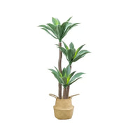 Műnövény Dracaena fragrans, edény nélkül, 180 cm zöld mesterséges beltéri növények Alapértelmezett cím Alessandro Design